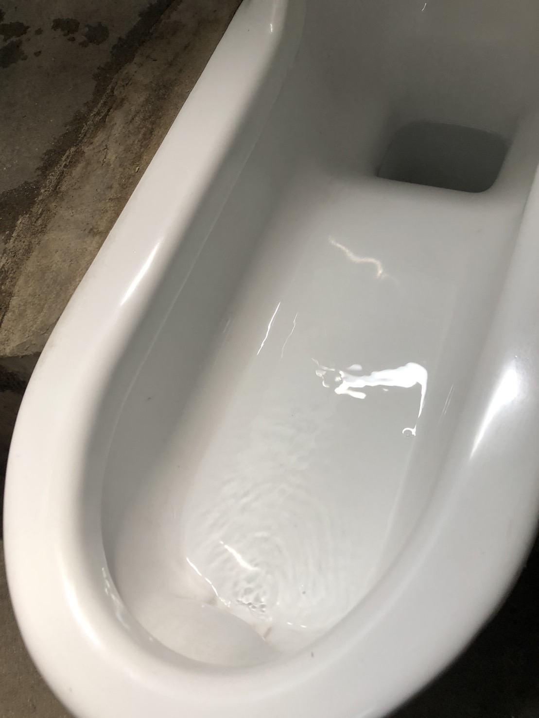 S__1851398