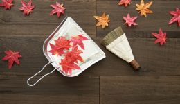 25372069_s 25372069_s